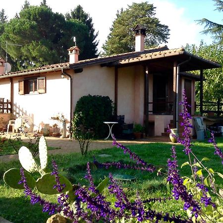 Olive Tree Hill Bed & Breakfast Zagarolo Eksteriør bilde