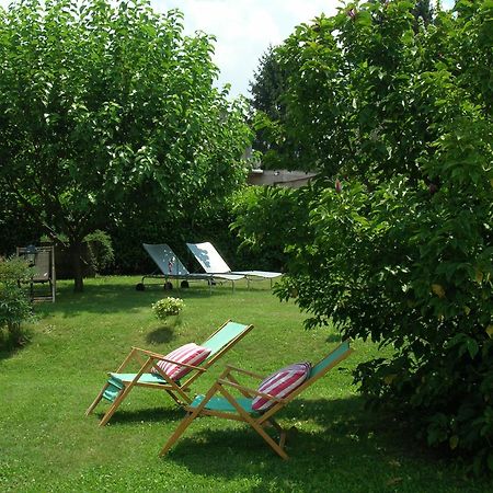 Olive Tree Hill Bed & Breakfast Zagarolo Eksteriør bilde