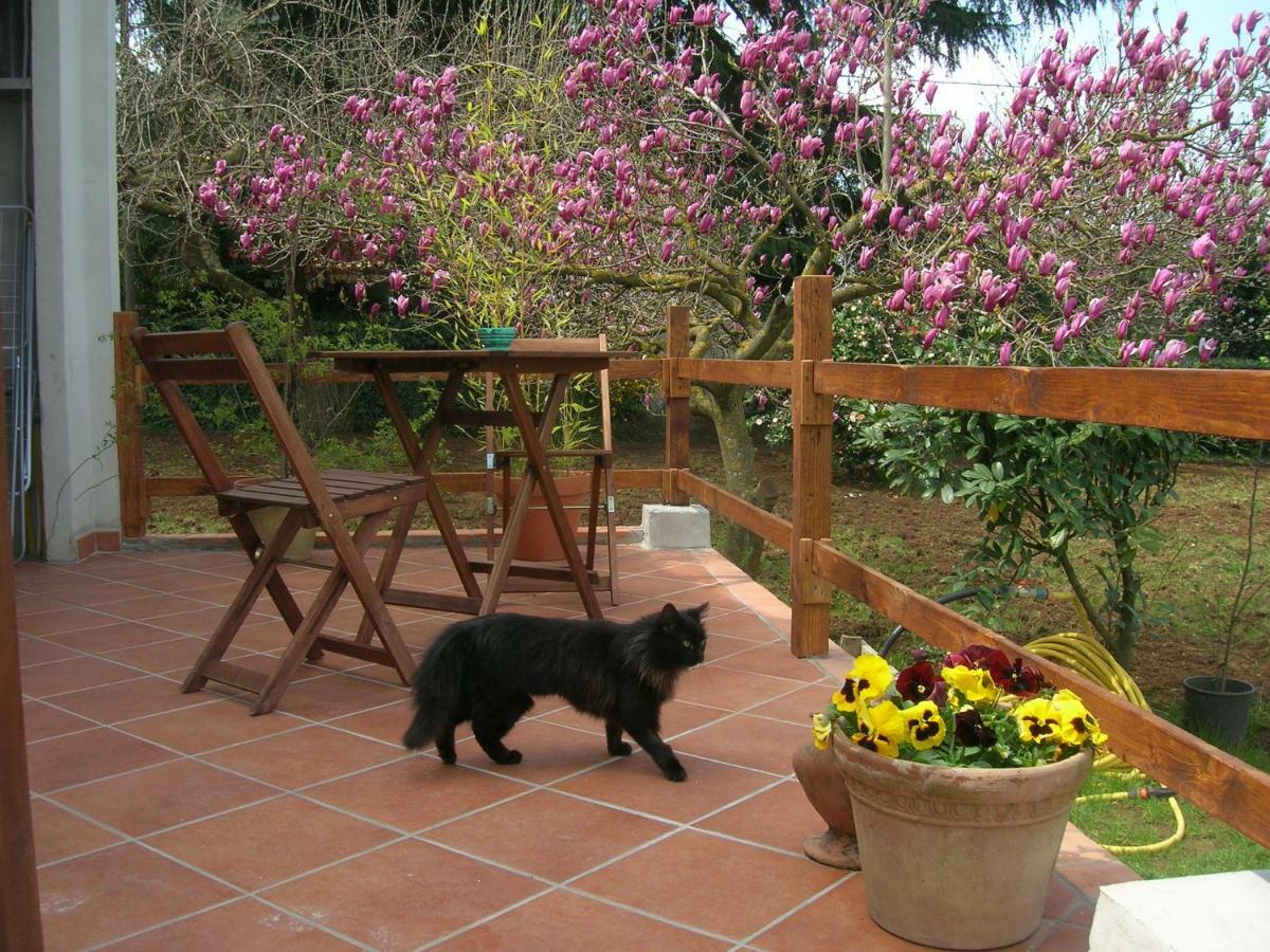Olive Tree Hill Bed & Breakfast Zagarolo Eksteriør bilde