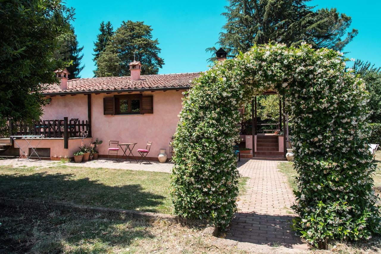 Olive Tree Hill Bed & Breakfast Zagarolo Eksteriør bilde
