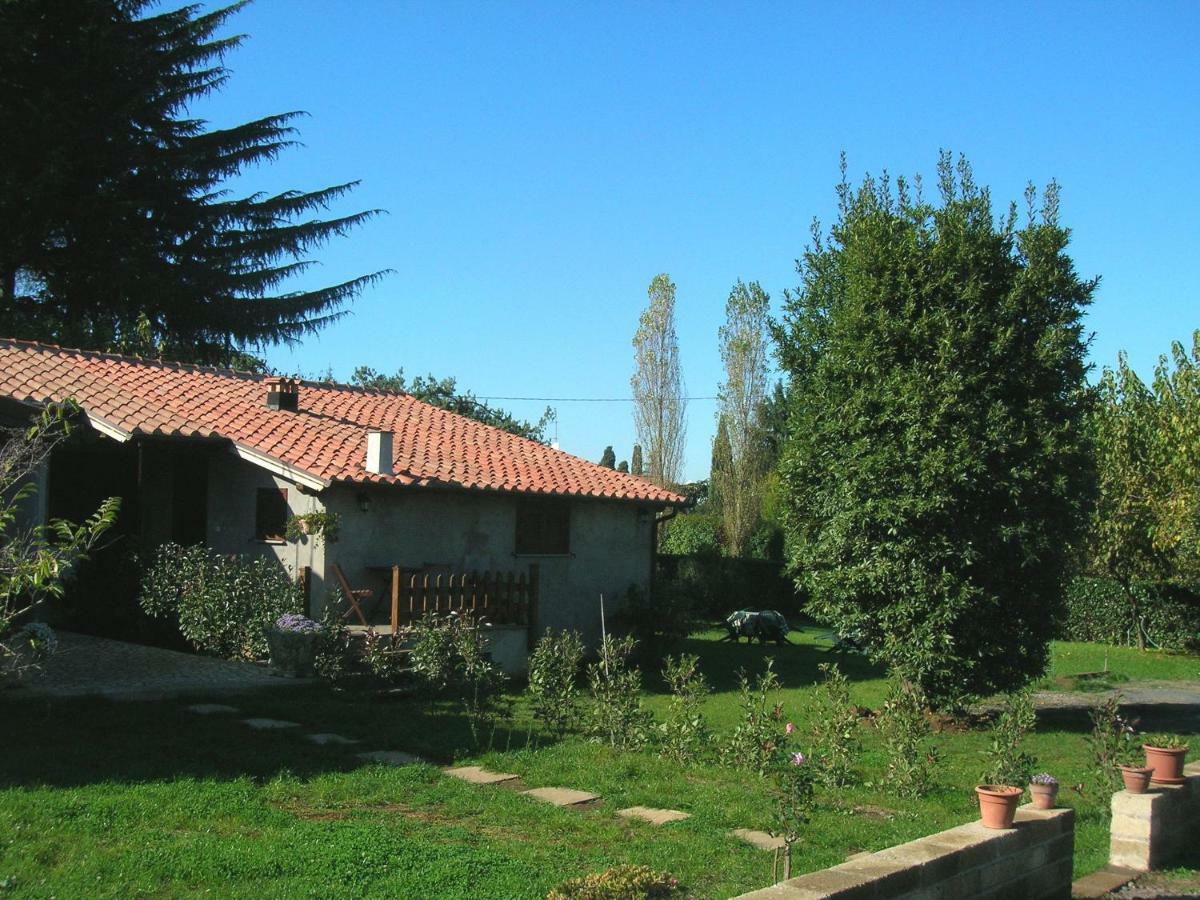 Olive Tree Hill Bed & Breakfast Zagarolo Eksteriør bilde