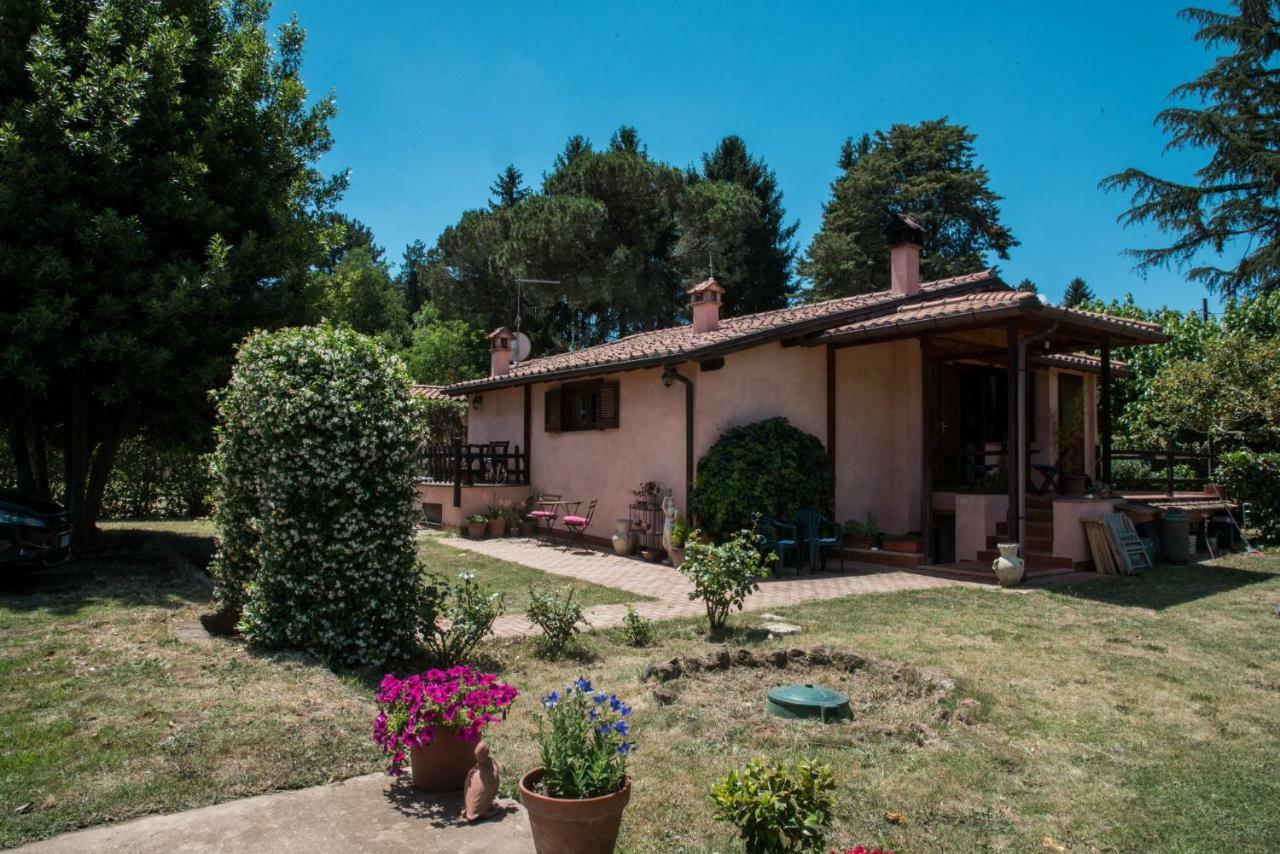 Olive Tree Hill Bed & Breakfast Zagarolo Eksteriør bilde